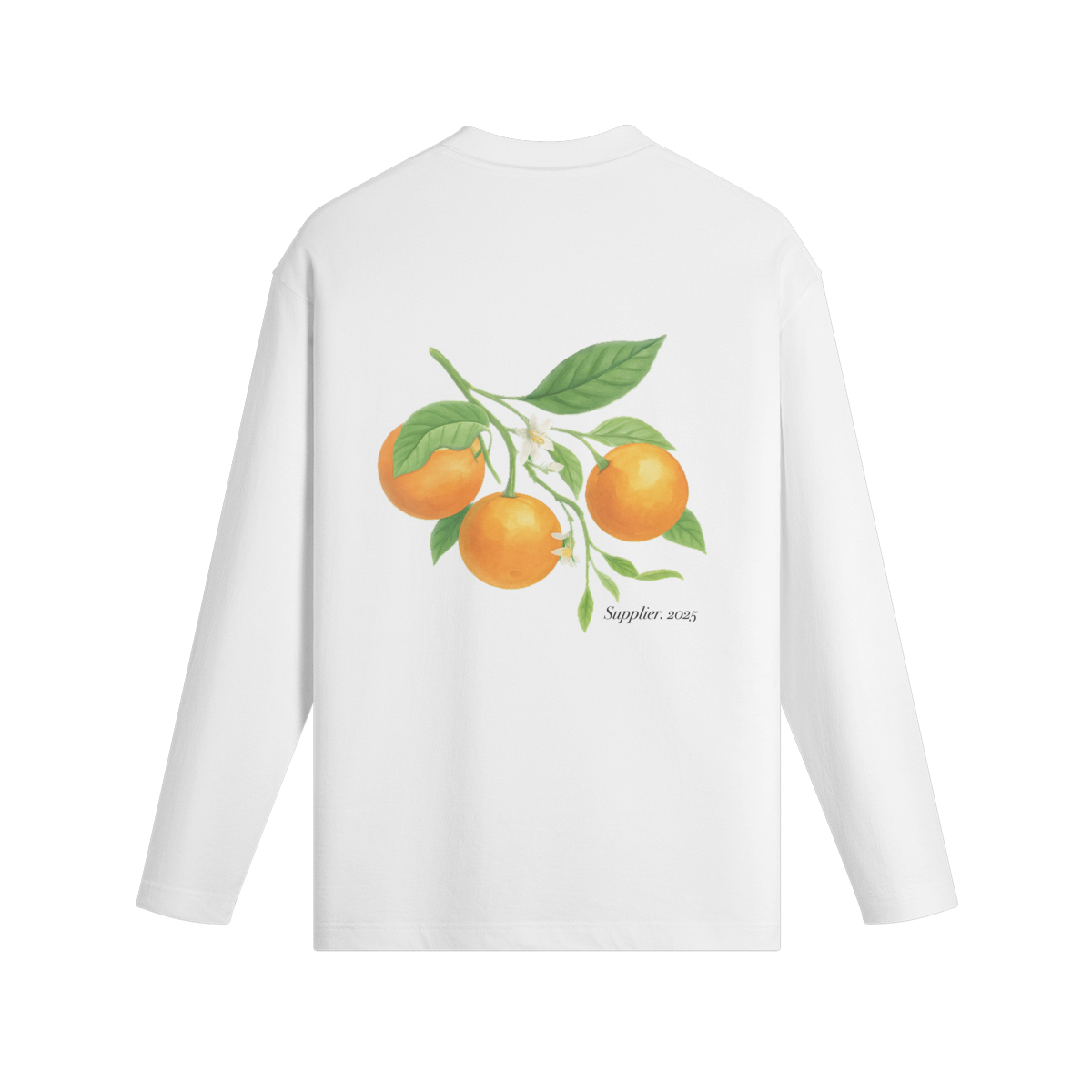 0-YEC-Back Side